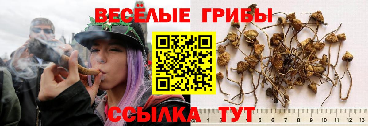Галлюциногенные грибы прущие грибы Шадринск